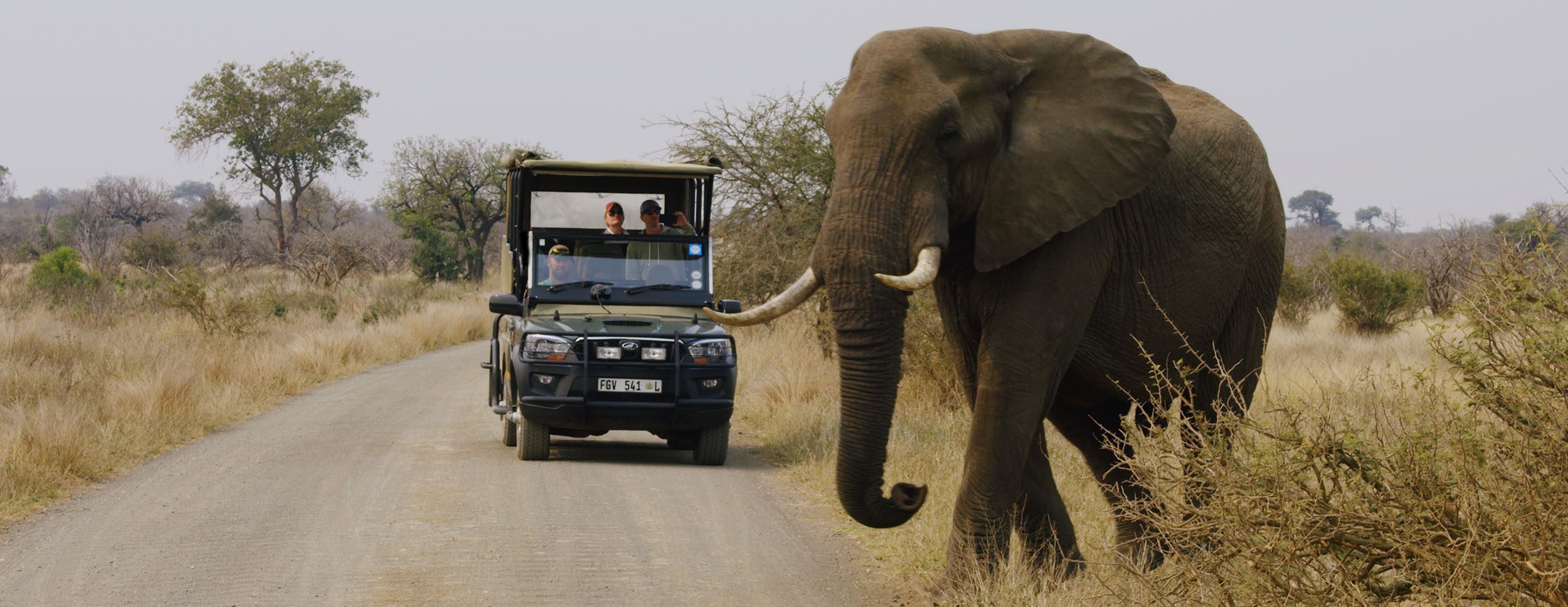 African Safaris: Luxury African safaris African safari tours Private African safaris Custom African safaris Wildlife safaris Africa South Africa Specific: South Africa safaris Luxury safaris South Africa Safari tours South Africa Kruger National Park safaris (if applicable, consider adding specific park names) South African wildlife South Africa travel Types of Experiences/Accommodation: Curated safari itineraries Private safari experiences Luxury safari villas High-end safari accommodation Boutique safaris Exclusive safaris Keywords related to Luxury & Exclusivity: Luxury travel Africa Premium safaris Bespoke safaris Customized travel Africa Signature safaris General Safari Terms: Wildlife photography safaris Safari adventures African wilderness tours Safari travel guide Safari blog