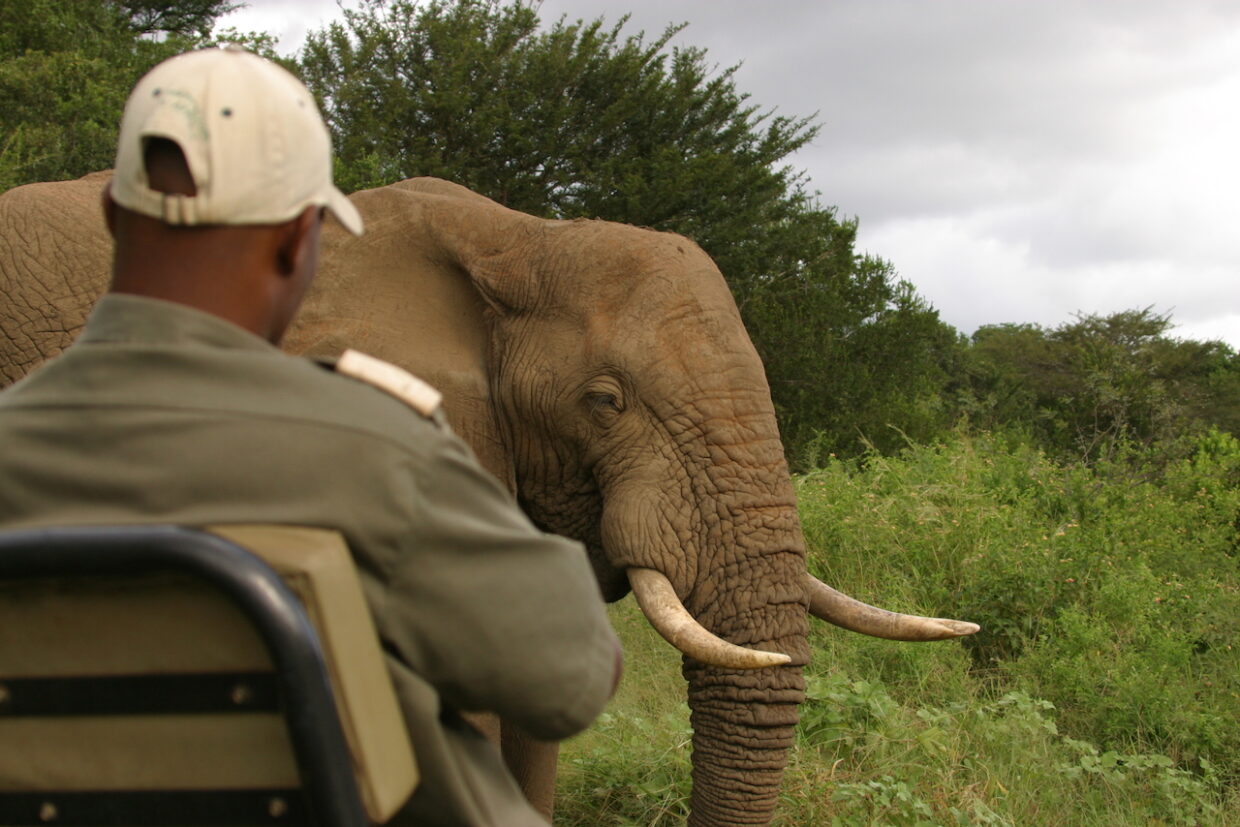 African Safaris: Luxury African safaris African safari tours Private African safaris Custom African safaris Wildlife safaris Africa South Africa Specific: South Africa safaris Luxury safaris South Africa Safari tours South Africa Kruger National Park safaris (if applicable, consider adding specific park names) South African wildlife South Africa travel Types of Experiences/Accommodation: Curated safari itineraries Private safari experiences Luxury safari villas High-end safari accommodation Boutique safaris Exclusive safaris Keywords related to Luxury & Exclusivity: Luxury travel Africa Premium safaris Bespoke safaris Customized travel Africa Signature safaris General Safari Terms: Wildlife photography safaris Safari adventures African wilderness tours Safari travel guide Safari blog