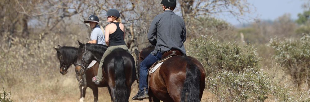 African Safaris: Luxury African safaris African safari tours Private African safaris Custom African safaris Wildlife safaris Africa South Africa Specific: South Africa safaris Luxury safaris South Africa Safari tours South Africa Kruger National Park safaris (if applicable, consider adding specific park names) South African wildlife South Africa travel Types of Experiences/Accommodation: Curated safari itineraries Private safari experiences Luxury safari villas High-end safari accommodation Boutique safaris Exclusive safaris Keywords related to Luxury & Exclusivity: Luxury travel Africa Premium safaris Bespoke safaris Customized travel Africa Signature safaris General Safari Terms: Wildlife photography safaris Safari adventures African wilderness tours Safari travel guide Safari blog