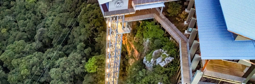 African Safaris: Luxury African safaris African safari tours Private African safaris Custom African safaris Wildlife safaris Africa South Africa Specific: South Africa safaris Luxury safaris South Africa Safari tours South Africa Kruger National Park safaris (if applicable, consider adding specific park names) South African wildlife South Africa travel Types of Experiences/Accommodation: Curated safari itineraries Private safari experiences Luxury safari villas High-end safari accommodation Boutique safaris Exclusive safaris Keywords related to Luxury & Exclusivity: Luxury travel Africa Premium safaris Bespoke safaris Customized travel Africa Signature safaris General Safari Terms: Wildlife photography safaris Safari adventures African wilderness tours Safari travel guide Safari blog