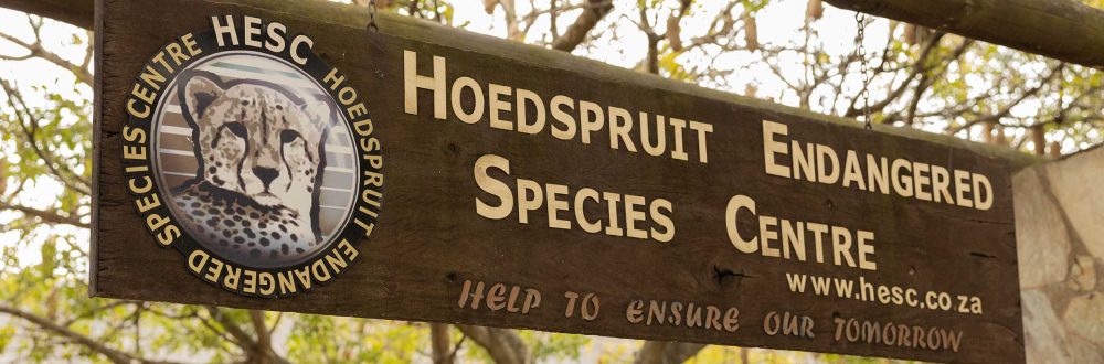 African Safaris: Luxury African safaris African safari tours Private African safaris Custom African safaris Wildlife safaris Africa South Africa Specific: South Africa safaris Luxury safaris South Africa Safari tours South Africa Kruger National Park safaris (if applicable, consider adding specific park names) South African wildlife South Africa travel Types of Experiences/Accommodation: Curated safari itineraries Private safari experiences Luxury safari villas High-end safari accommodation Boutique safaris Exclusive safaris Keywords related to Luxury & Exclusivity: Luxury travel Africa Premium safaris Bespoke safaris Customized travel Africa Signature safaris General Safari Terms: Wildlife photography safaris Safari adventures African wilderness tours Safari travel guide Safari blog