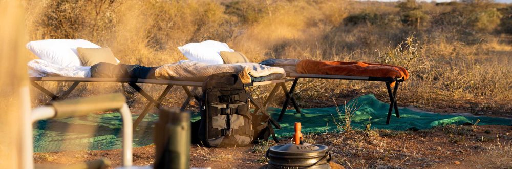 African Safaris: Luxury African safaris African safari tours Private African safaris Custom African safaris Wildlife safaris Africa South Africa Specific: South Africa safaris Luxury safaris South Africa Safari tours South Africa Kruger National Park safaris (if applicable, consider adding specific park names) South African wildlife South Africa travel Types of Experiences/Accommodation: Curated safari itineraries Private safari experiences Luxury safari villas High-end safari accommodation Boutique safaris Exclusive safaris Keywords related to Luxury & Exclusivity: Luxury travel Africa Premium safaris Bespoke safaris Customized travel Africa Signature safaris General Safari Terms: Wildlife photography safaris Safari adventures African wilderness tours Safari travel guide Safari blog