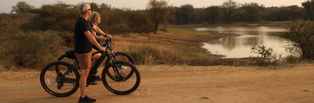 African Safaris: Luxury African safaris African safari tours Private African safaris Custom African safaris Wildlife safaris Africa South Africa Specific: South Africa safaris Luxury safaris South Africa Safari tours South Africa Kruger National Park safaris (if applicable, consider adding specific park names) South African wildlife South Africa travel Types of Experiences/Accommodation: Curated safari itineraries Private safari experiences Luxury safari villas High-end safari accommodation Boutique safaris Exclusive safaris Keywords related to Luxury & Exclusivity: Luxury travel Africa Premium safaris Bespoke safaris Customized travel Africa Signature safaris General Safari Terms: Wildlife photography safaris Safari adventures African wilderness tours Safari travel guide Safari blog