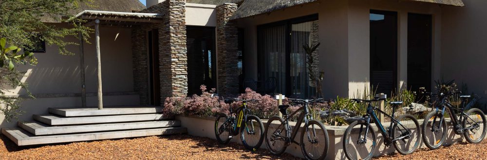 African Safaris: Luxury African safaris African safari tours Private African safaris Custom African safaris Wildlife safaris Africa South Africa Specific: South Africa safaris Luxury safaris South Africa Safari tours South Africa Kruger National Park safaris (if applicable, consider adding specific park names) South African wildlife South Africa travel Types of Experiences/Accommodation: Curated safari itineraries Private safari experiences Luxury safari villas High-end safari accommodation Boutique safaris Exclusive safaris Keywords related to Luxury & Exclusivity: Luxury travel Africa Premium safaris Bespoke safaris Customized travel Africa Signature safaris General Safari Terms: Wildlife photography safaris Safari adventures African wilderness tours Safari travel guide Safari blog