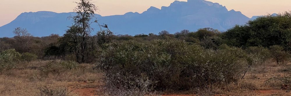 African Safaris: Luxury African safaris African safari tours Private African safaris Custom African safaris Wildlife safaris Africa South Africa Specific: South Africa safaris Luxury safaris South Africa Safari tours South Africa Kruger National Park safaris (if applicable, consider adding specific park names) South African wildlife South Africa travel Types of Experiences/Accommodation: Curated safari itineraries Private safari experiences Luxury safari villas High-end safari accommodation Boutique safaris Exclusive safaris Keywords related to Luxury & Exclusivity: Luxury travel Africa Premium safaris Bespoke safaris Customized travel Africa Signature safaris General Safari Terms: Wildlife photography safaris Safari adventures African wilderness tours Safari travel guide Safari blog