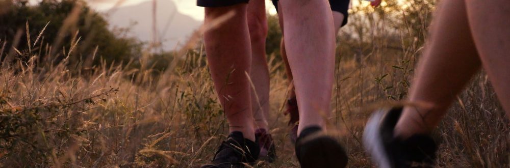 African Safaris: Luxury African safaris African safari tours Private African safaris Custom African safaris Wildlife safaris Africa South Africa Specific: South Africa safaris Luxury safaris South Africa Safari tours South Africa Kruger National Park safaris (if applicable, consider adding specific park names) South African wildlife South Africa travel Types of Experiences/Accommodation: Curated safari itineraries Private safari experiences Luxury safari villas High-end safari accommodation Boutique safaris Exclusive safaris Keywords related to Luxury & Exclusivity: Luxury travel Africa Premium safaris Bespoke safaris Customized travel Africa Signature safaris General Safari Terms: Wildlife photography safaris Safari adventures African wilderness tours Safari travel guide Safari blog