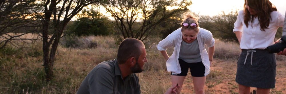 African Safaris: Luxury African safaris African safari tours Private African safaris Custom African safaris Wildlife safaris Africa South Africa Specific: South Africa safaris Luxury safaris South Africa Safari tours South Africa Kruger National Park safaris (if applicable, consider adding specific park names) South African wildlife South Africa travel Types of Experiences/Accommodation: Curated safari itineraries Private safari experiences Luxury safari villas High-end safari accommodation Boutique safaris Exclusive safaris Keywords related to Luxury & Exclusivity: Luxury travel Africa Premium safaris Bespoke safaris Customized travel Africa Signature safaris General Safari Terms: Wildlife photography safaris Safari adventures African wilderness tours Safari travel guide Safari blog